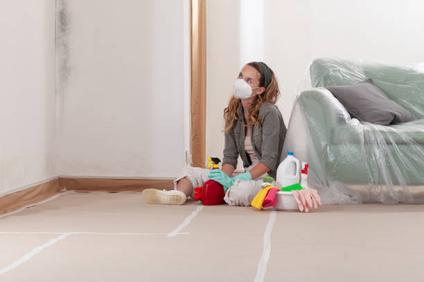 Reliable Mold Removal contractor in Red Bank, NJ by WQB Mold Removal